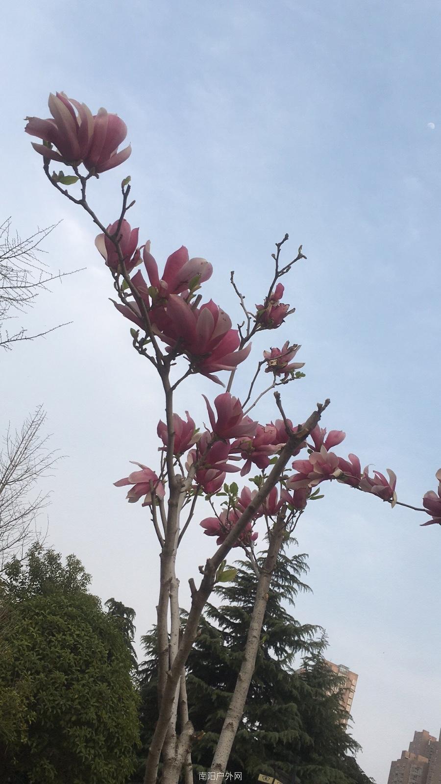 8F1153B4-1A35-424D-9B03-459D69275AED