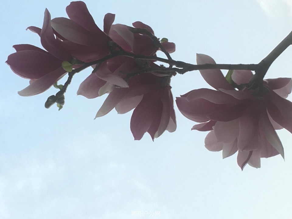 3E6E97C6-DB5C-46C7-94B8-3BF1BA69B075