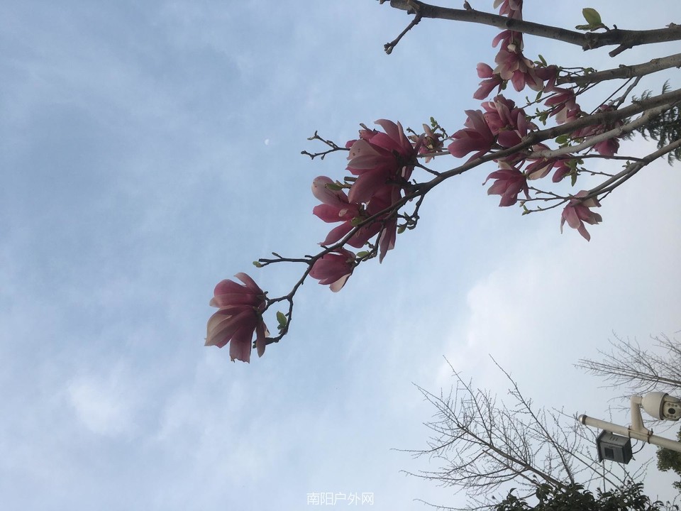 D23D55D4-600A-4C39-B12A-0E9E1D6929C7