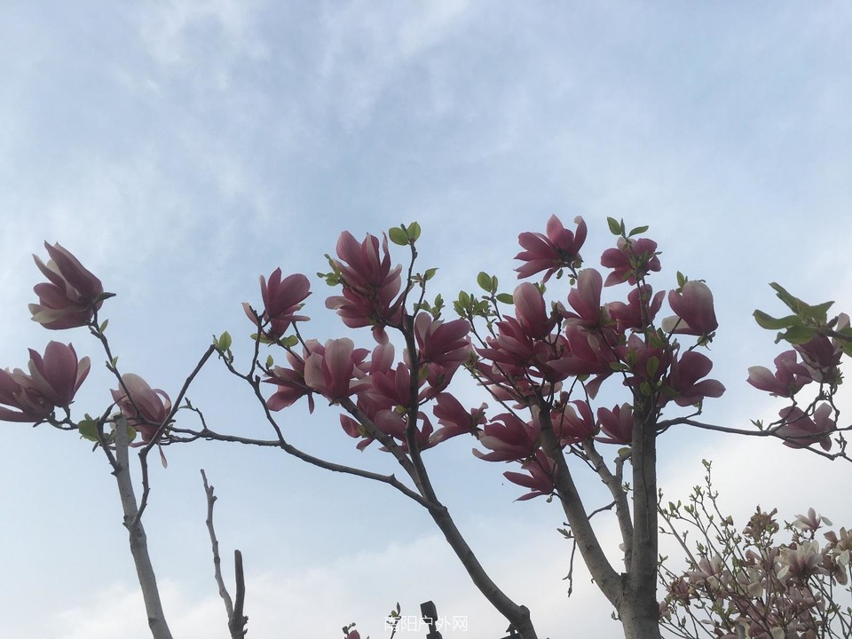 8FC8A680-88D2-4E50-93A5-6BFD533EAC4C