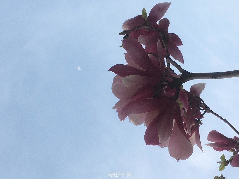 CBB6B218-4E25-48D0-B2CE-35FE103A9DB9