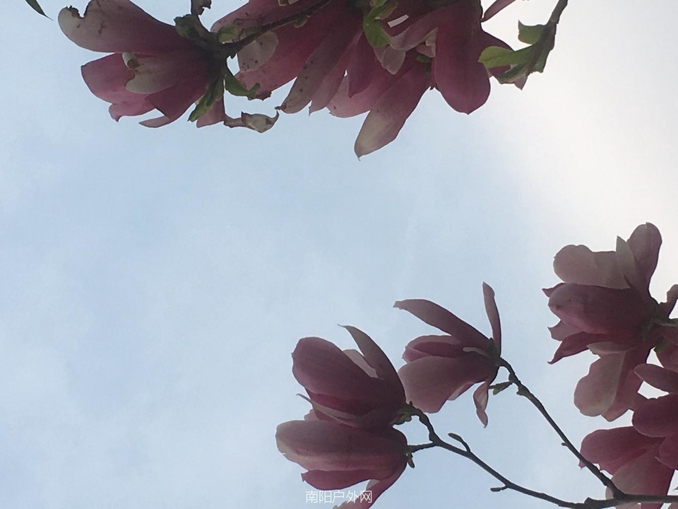 62DB2DC0-1FB4-44D1-AA0A-69971F85BABD