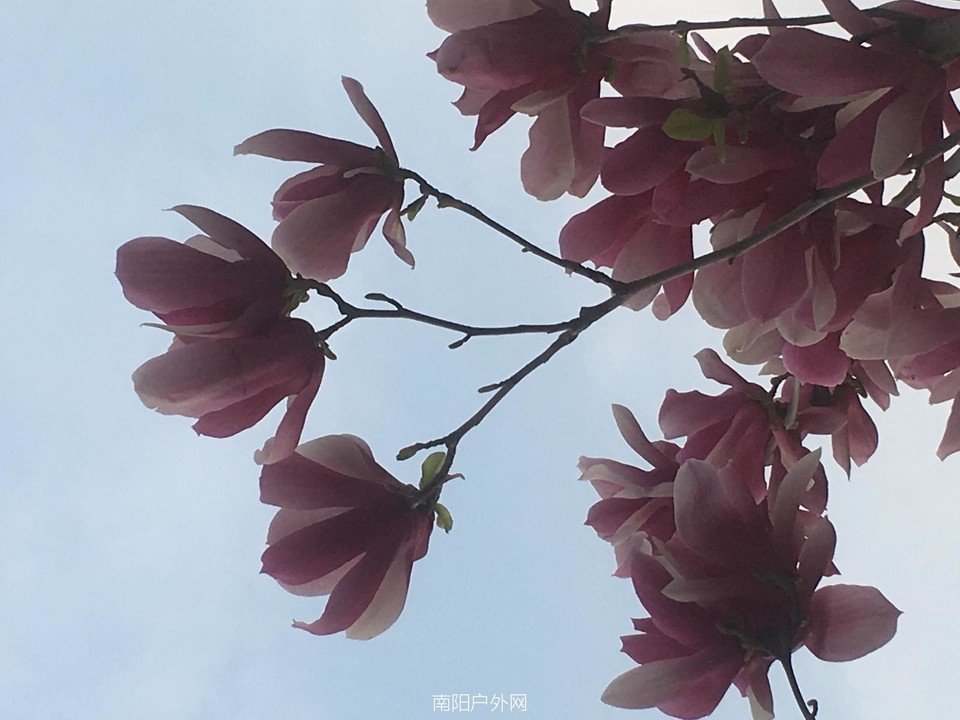 58ADEEC6-48A8-4D28-8F11-273B8045F784