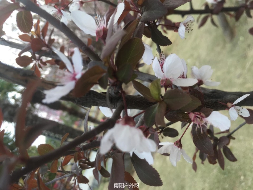 F2CB09C9-531D-43AF-BC4F-1BAD9D18142C