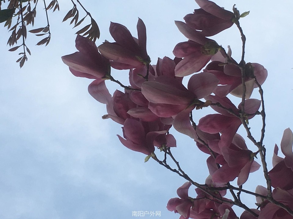 096A4AB4-FF1B-4E0C-96D7-0617411BE5AA