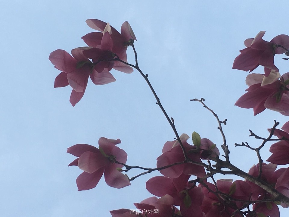 895F2BBC-5650-4789-A77C-6A16EF7A84C2