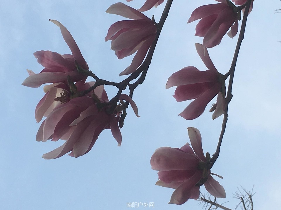 FA91CCBC-6048-467D-98C5-543563674B57