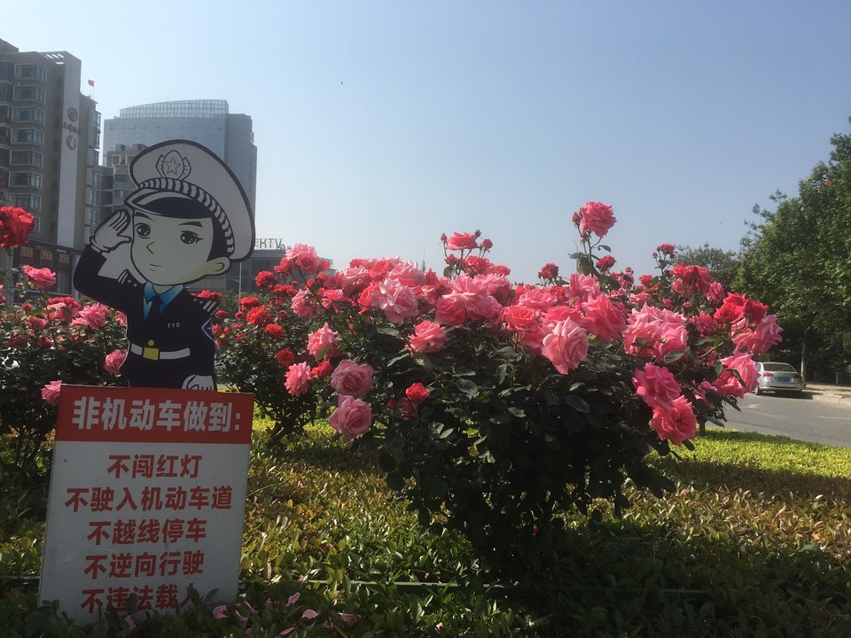 5D4F4D5A-7D4C-4BBA-BAE2-C281FAD7B214