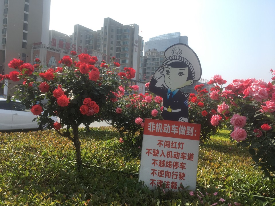 E9209538-0574-49EA-A30B-FF6F7BF75A53