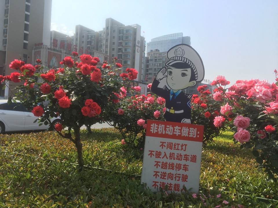 0B9C6414-9C85-4100-9A17-EB54173CC646