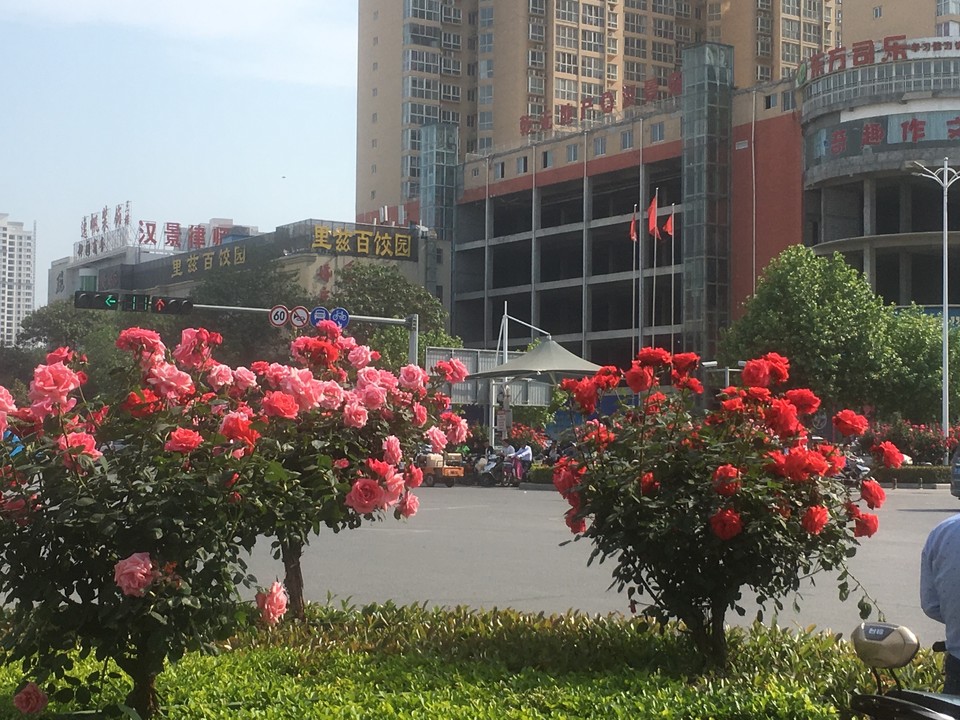 3B742454-0261-4AD4-85F0-E546E4AD3DA0