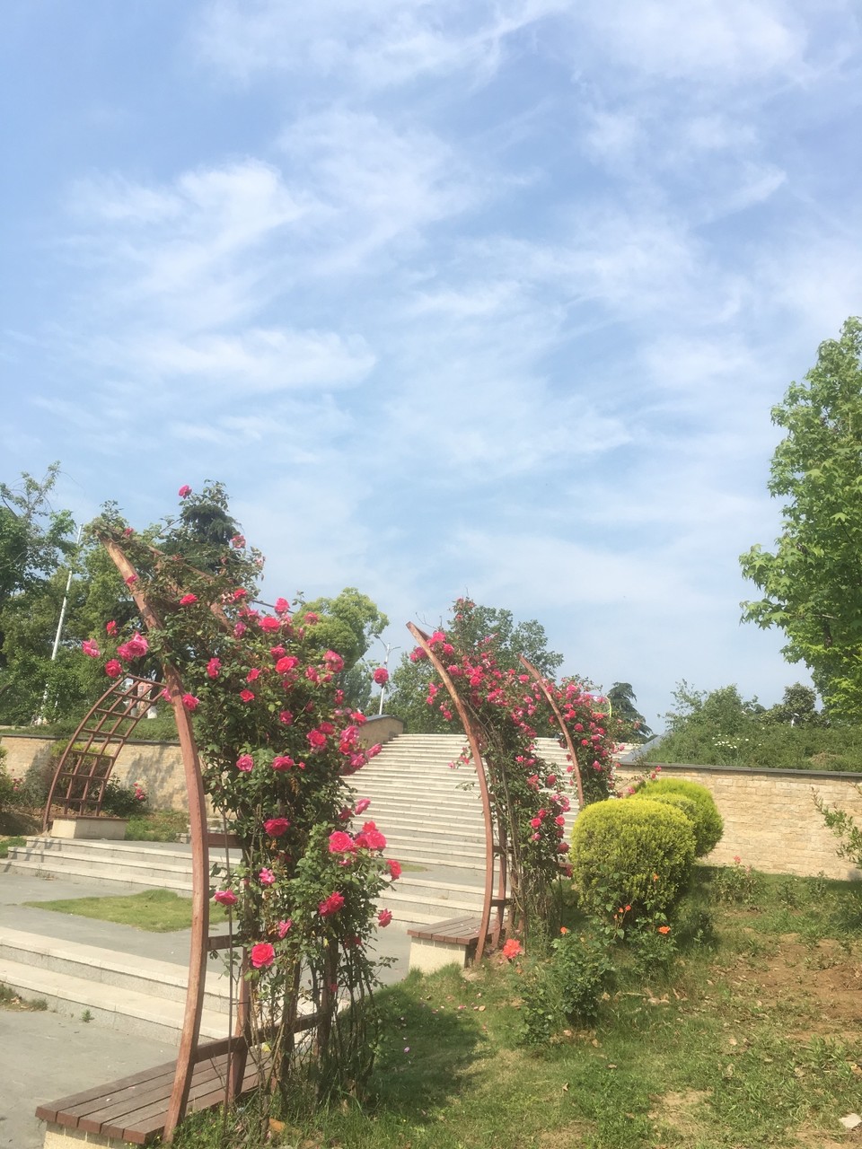 0BA450D8-EAAE-426A-B17C-31BFCC5D991B