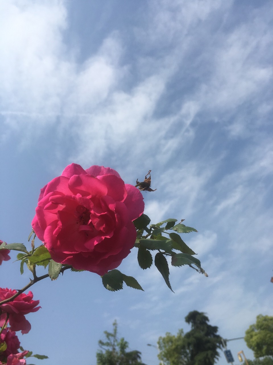 D764B78A-A960-4361-9E0C-BF2EC3DE6645