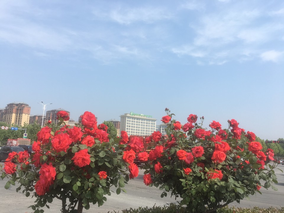 B0686626-4603-42C1-BFB8-350347545D91