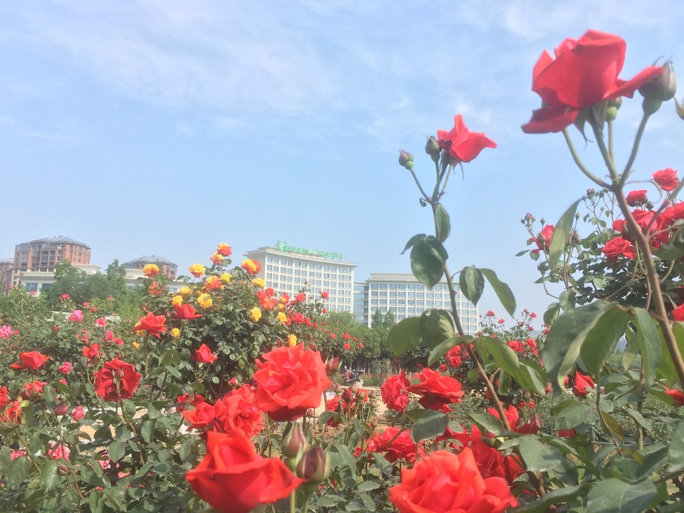 29201DDB-634D-46E2-AE54-046CA535CAC2