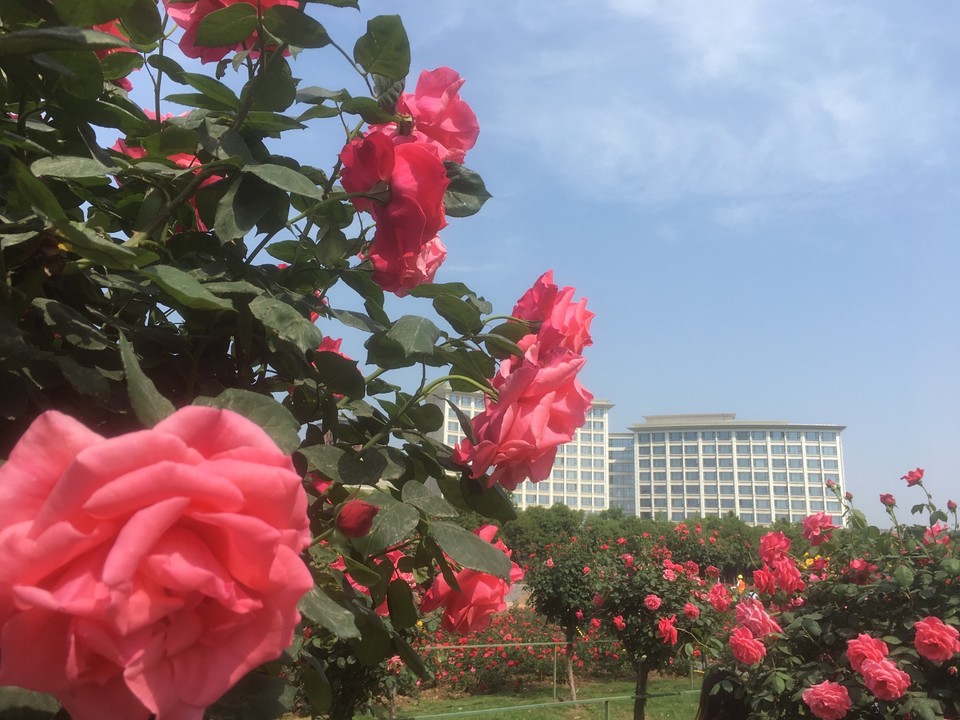 98E5DDA3-5E39-4D04-824C-622E7A512138