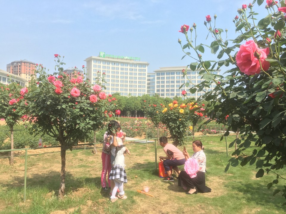 B9A2B630-5138-466B-9DAD-3F48BE7B2D36