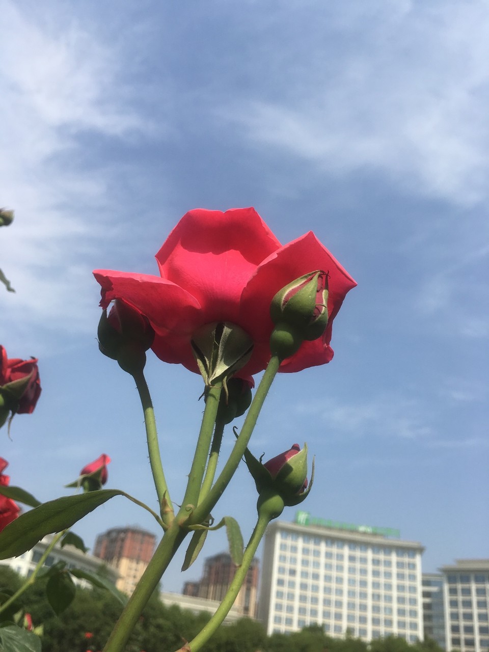 1D7227B5-F097-4C54-981C-63BA49EE709F