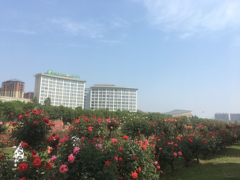 C927F92D-CF93-4AC4-AA36-8C0D4E5D0DAB