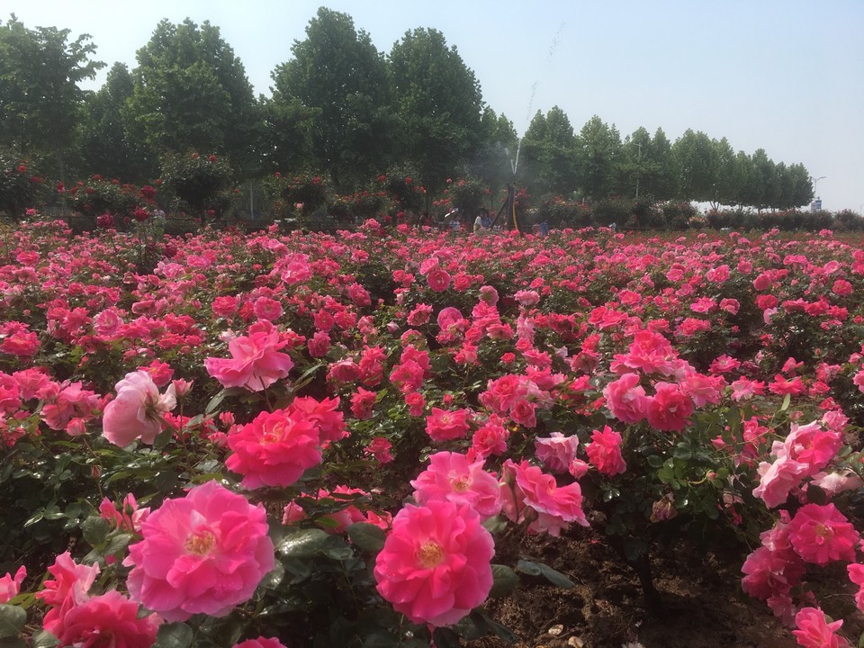 BDE0C9D5-8233-415A-B1DE-4EED9273EEEC