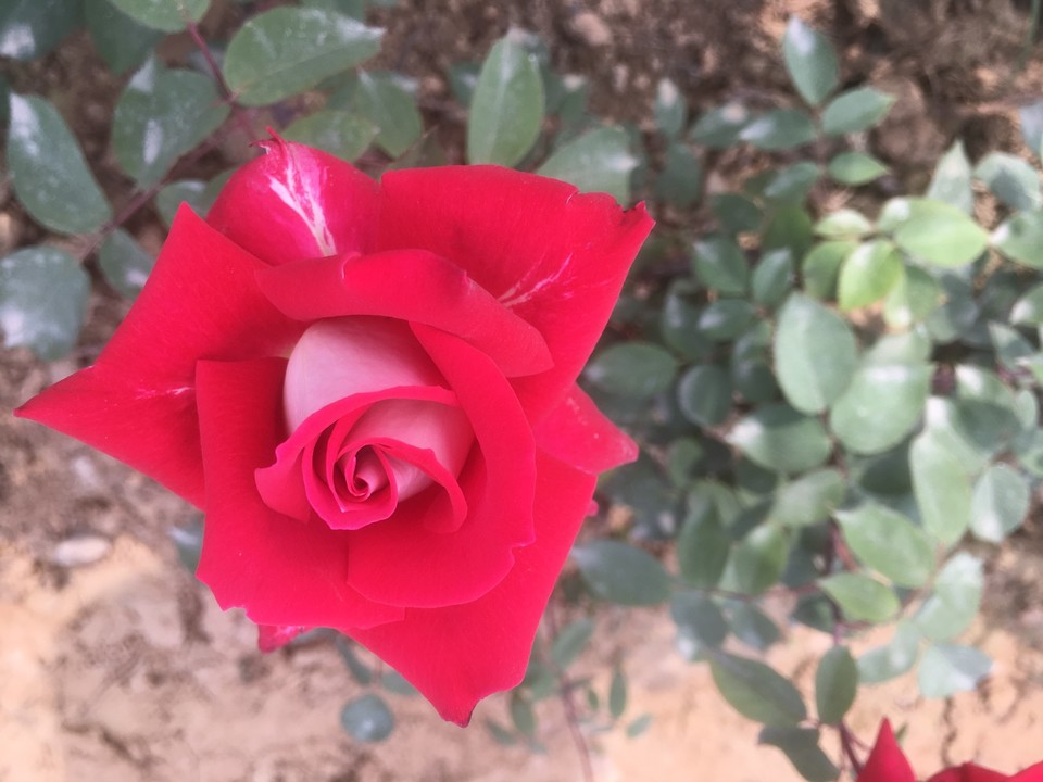 D4CF6AB2-1108-4738-A283-81E3DEECC223