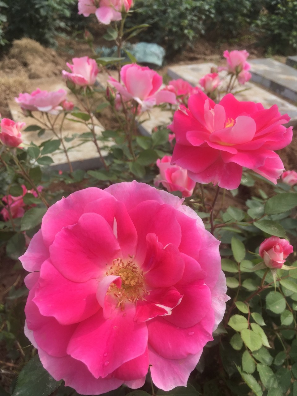 1D00BB77-0CC2-4F1F-8DB9-8BE70A21A6AC