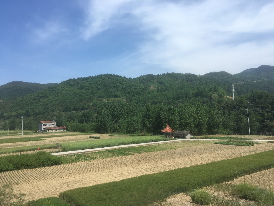 FDE0D697-9A40-4406-91DB-10F30911925C