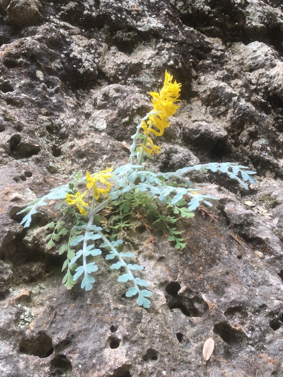 C133547B-43AA-4198-80E7-5D3844F8DFD7