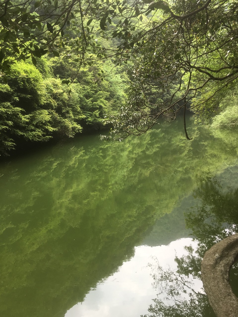 5052BDEF-91CD-48B5-82FB-A2CE25769BC1