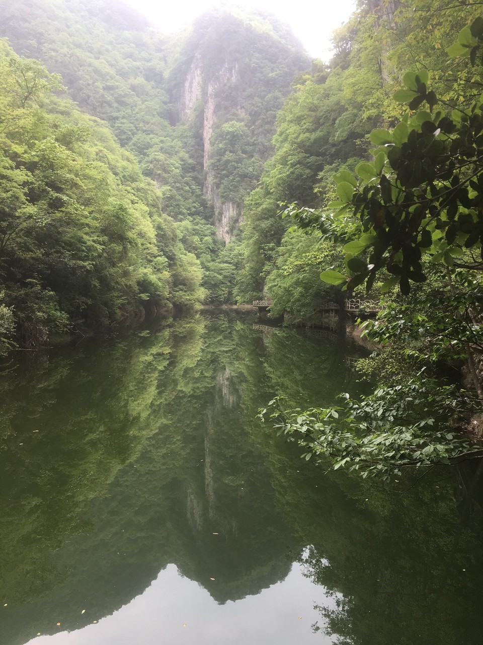 9B6990C2-DCA8-461B-9554-38D0A3A43331