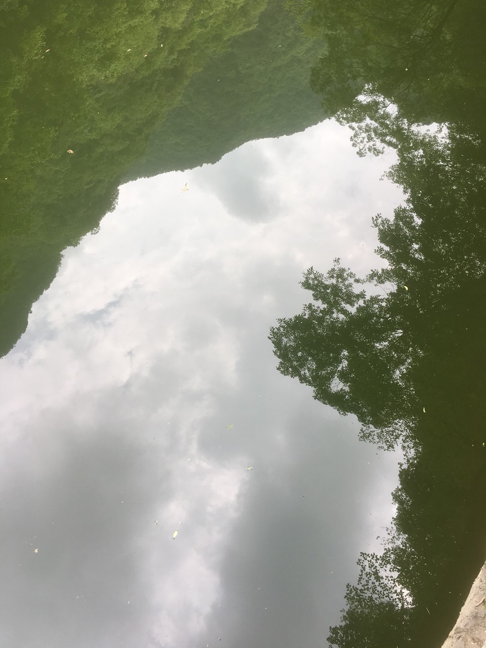 78FBBC13-9B88-4F84-9454-DB0E6CECE440