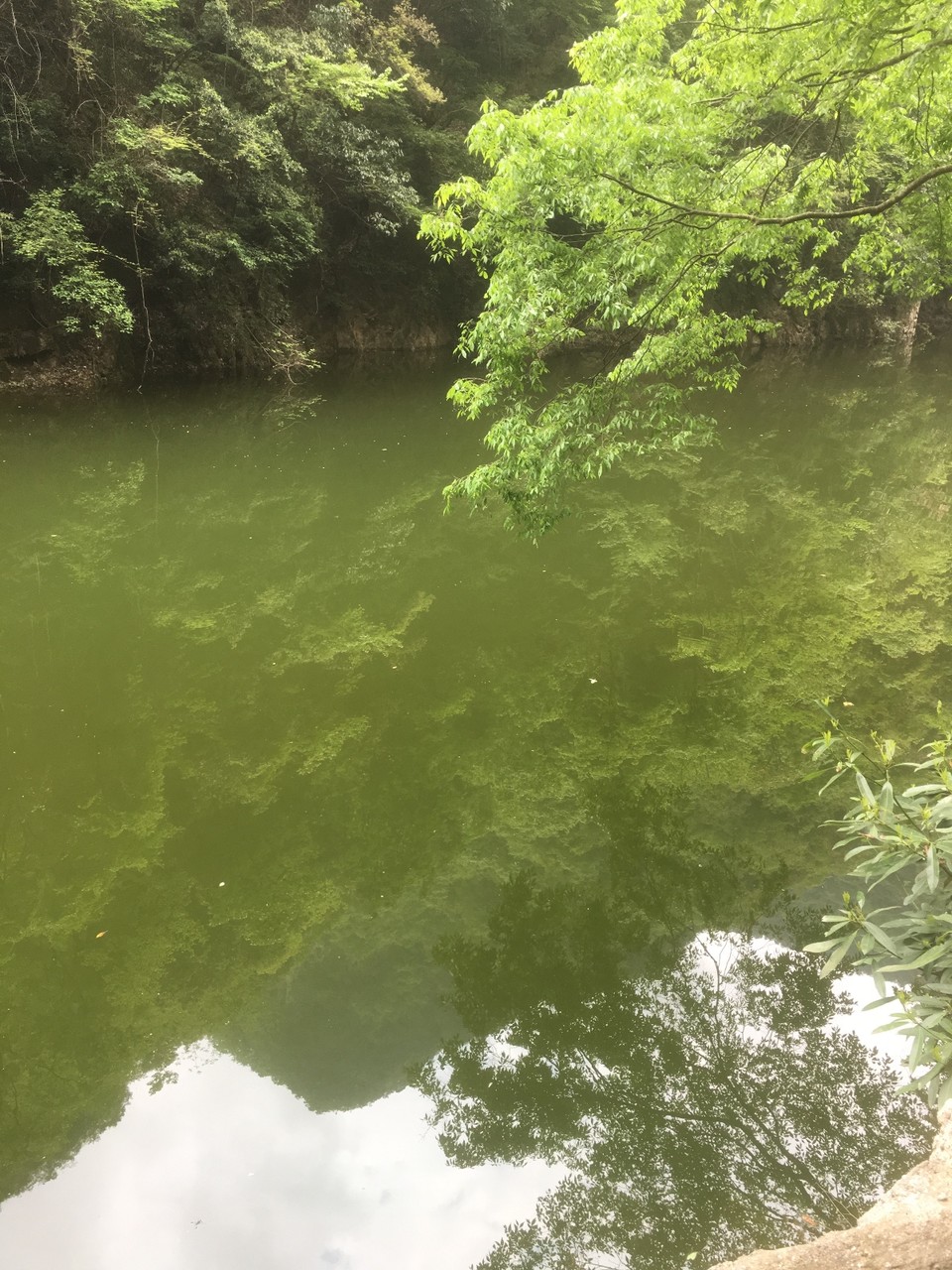 E3453633-B7F8-48E3-A151-1066615C7F7E