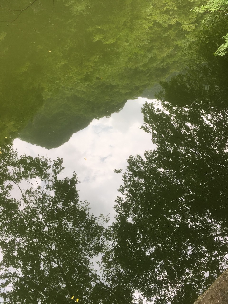 6815DD37-FDC6-42AC-BECD-4C3C2FDF1CAD