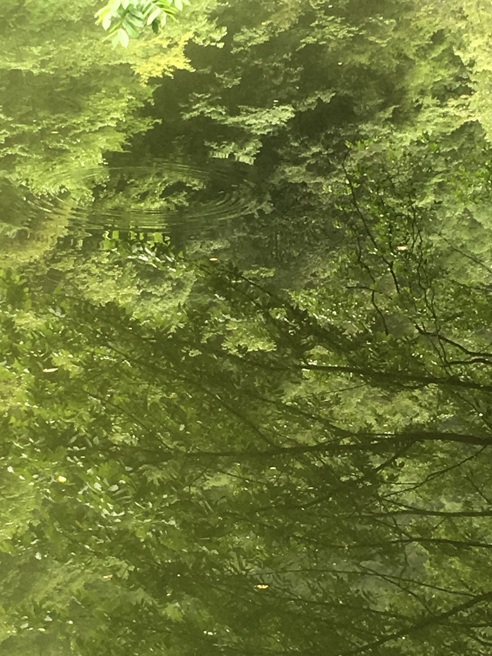 1866CA12-B0DD-4BA9-9A54-FA00DBBB19C6