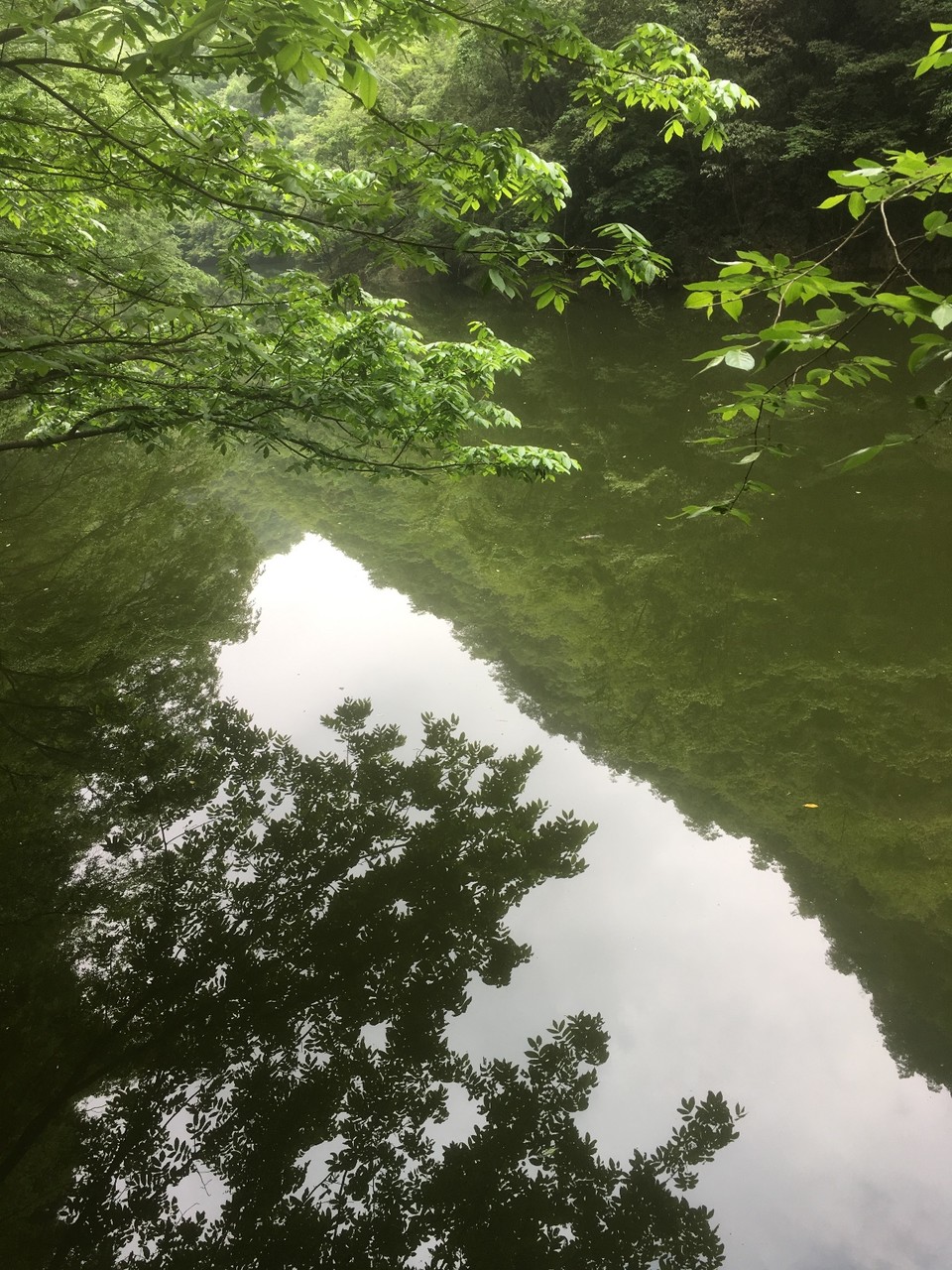 E9A4B011-26A6-4FD0-8629-6388B07211A2