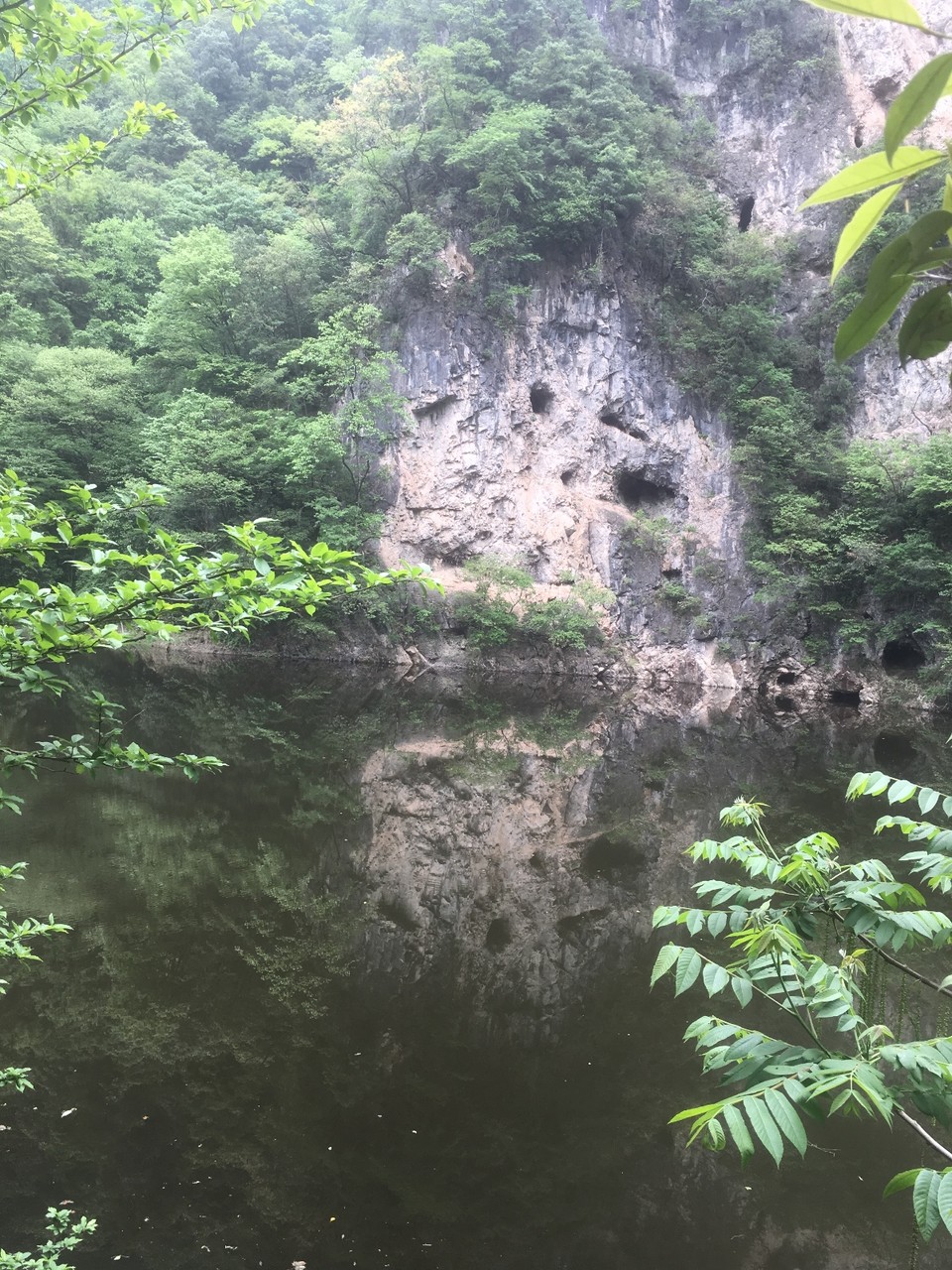 B98DCB1A-BC5C-4D0A-B6C8-757876473EB0