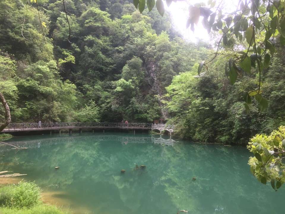 FB00D699-ABD1-433D-B1CE-4088982AD463