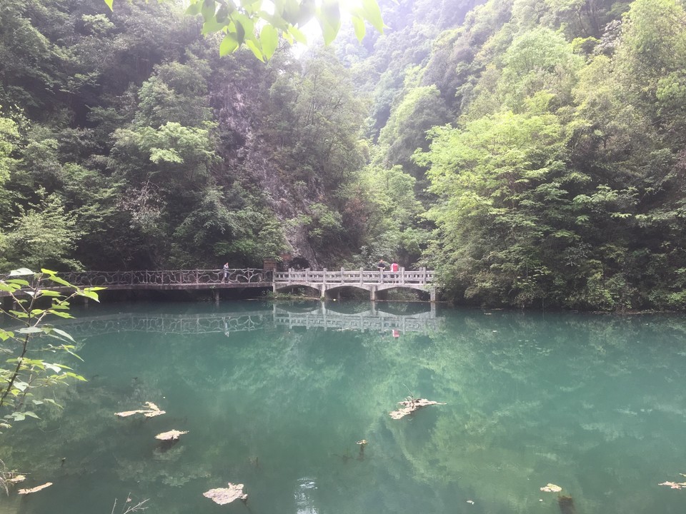 D9C9655D-8060-4BB0-B31B-8160E78E2832