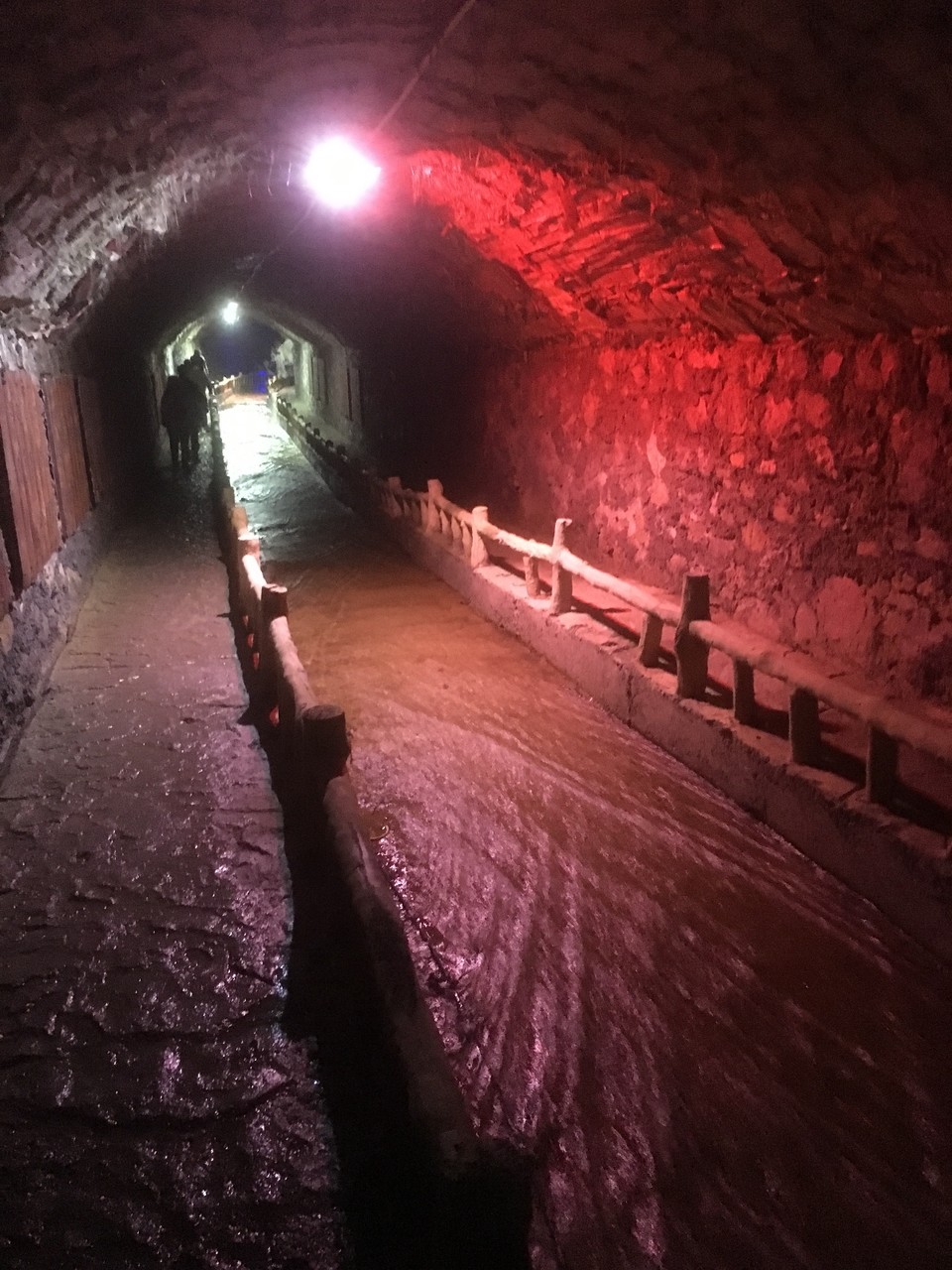 1D46E254-A5E9-42E9-B223-B8B96D274873