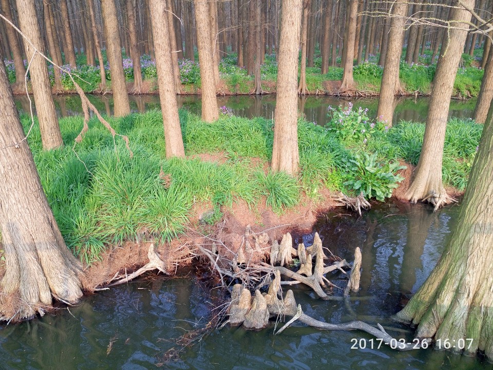 1987C03F-470B-40AA-8C32-92265B495031