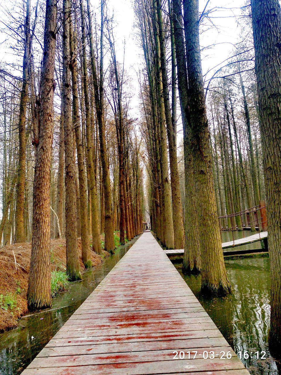 CA4DB3E5-6CFC-446E-9C8A-DBF368A860C4