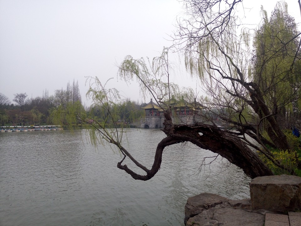 9BDA220C-E549-49E3-8A03-5928FD3E22AA