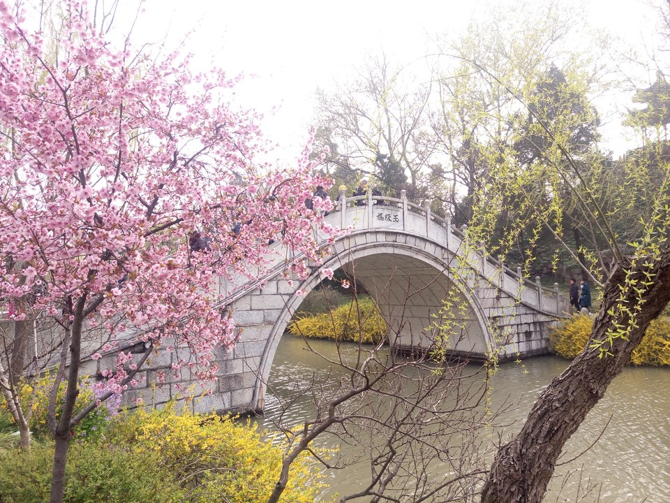 E44A7BBE-FFBE-4EE0-9DA0-8A98DCCEA937