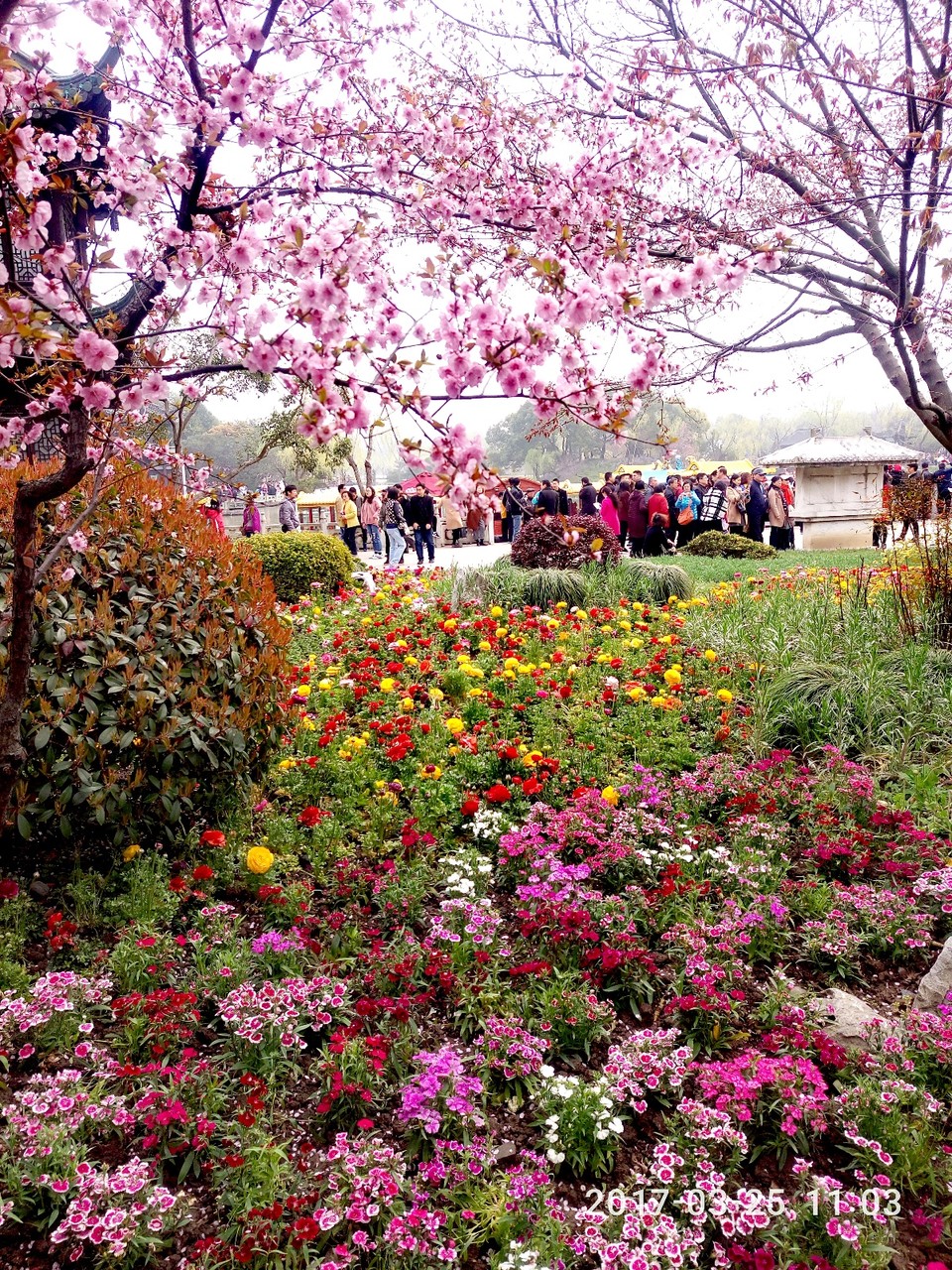 72794498-19F2-4642-84BC-8D3465E36718