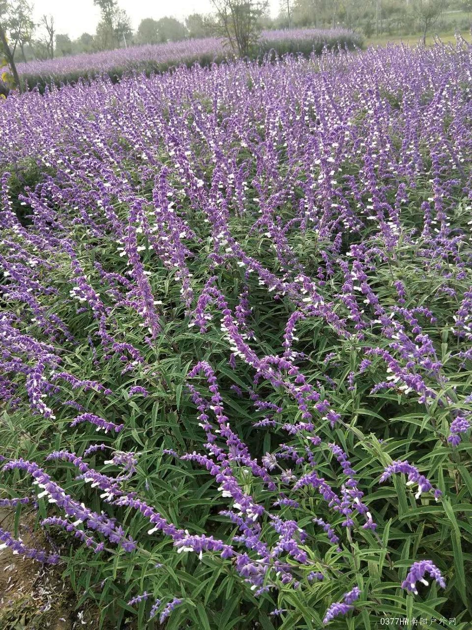 7DDFLoMGbNowAJNWNCWWioERWswbIXUPvfPReUi9RCDZAWh_HnD8-hdt8WVYxbcx