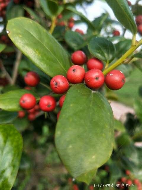 QrsPTRqVaHh1VVgWKPXQ8Fqs4fABqQzTRhWRNMUCOLLHXU7AoOxW0GPDKmIFmuRP