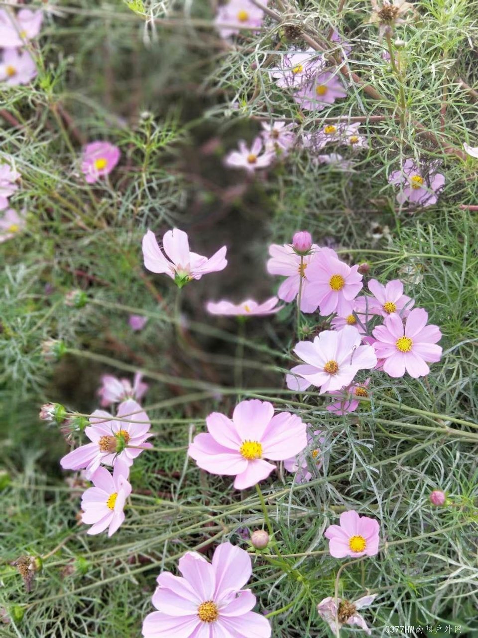 hz7d8QufK48z82Hdgq2GYU7kJKqMvqInGDW7-FAnq4tNkMtRP6oUUCdkerqT8nDW