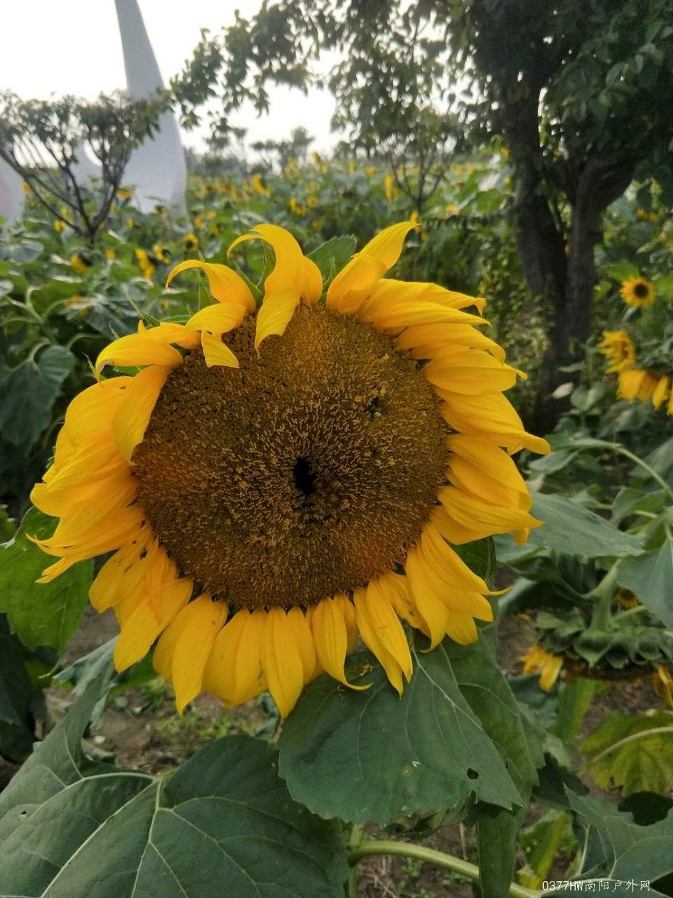 CebVGs6ttMg3cCyb0Q2Vex4gmzsDKV0LEpG5Fu6cgBcLzWLVJ87W7guAAkiwY8tw