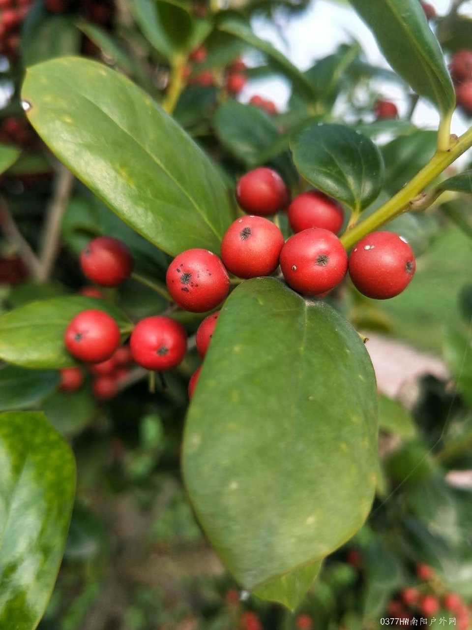 noSTtDOorFu6UJQAtP_-42A3NU0t6U8qqbMB8vQebpBaK7VKUb-M3hydSCedivV9