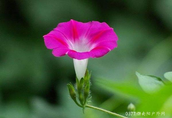 d4AUHaFnH8vnf4dqagopzGlCD3hwUpsBcksrOkNM6PpAUm27Cx0QQK9ApgYjpIrd